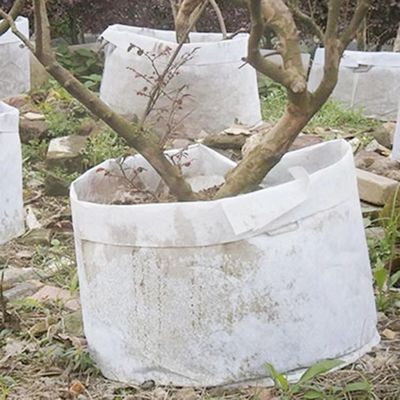 Sesuaikan Hot Jual kain non woven tas tanaman Biodegradable bernapas flet pohon tumbuh tas tas pembibitan besar dengan pegangan